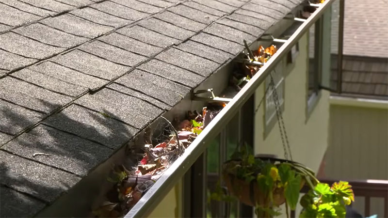 affordable professional gutter cleaning