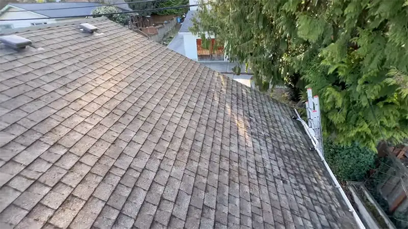 roof cleaning service rochester